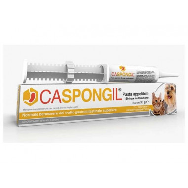 CASPONGIL PASTA 30 gr, shop Online