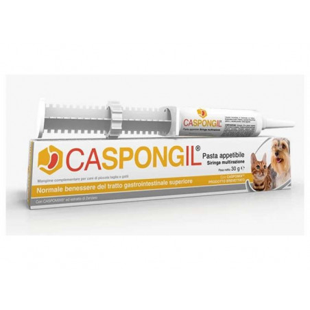 CASPONGIL PASTA 30 gr, shop Online