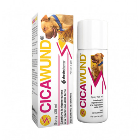 CICAWUND SPRAY 125 ml, shop Online