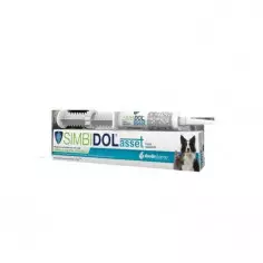 SIMBIDOL ASSET PASTE 15G SYRINGE, shop Online