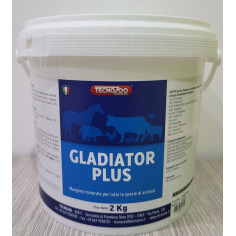 GLADIATOR PLUS, shop Online
