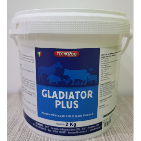 GLADIATOR PLUS, shop Online