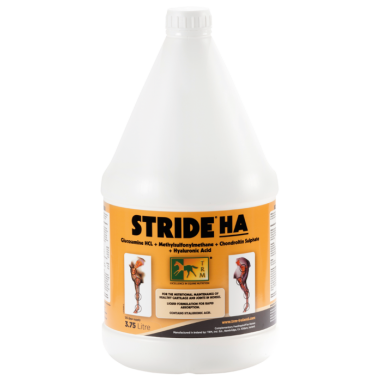 STRIDE HAS 3.75L, shop Online
