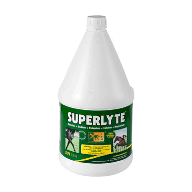 SUPERLYTE 10L Miglior Prezzo