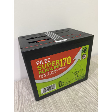 BATTERIA PER RECINTO 170 AH Miglior Prezzo