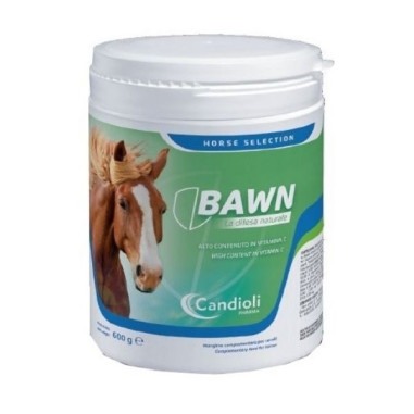 BAWN CANDIOLI, shop Online
