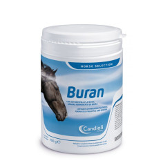 BURAN Miglior Prezzo