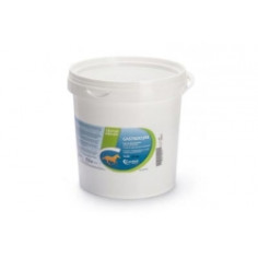 GASTROCURE CANDIOLI 2.
