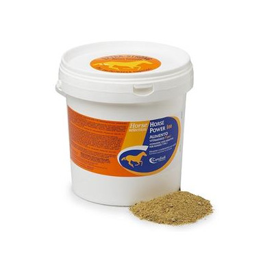 HORSE POWER 100 4 KG, shop Online