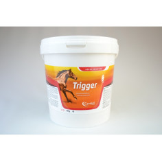 TRIGGER CANDIOLI 3 KG, shop Online