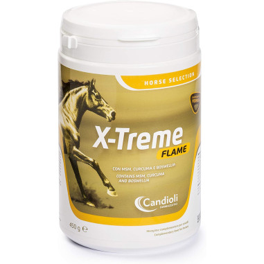 X-TREME FLAME 450 G Miglior Prezzo