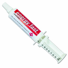 ENERGY FAST SYRINGE 80G, shop Online