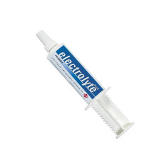 ELECTROLYTE PLUS SIRINGA 50 G Miglior Prezzo