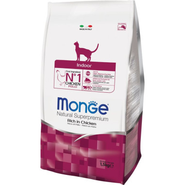 MONGE CAT INDOOR 1.