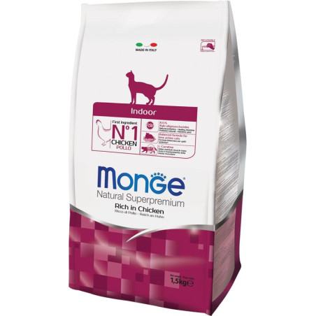 MONGE CAT INDOOR 1.