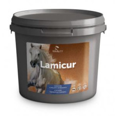 LAMICUR 2KG, shop Online
