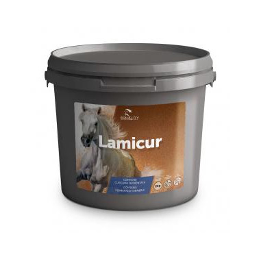 LAMICUR 2KG, shop Online