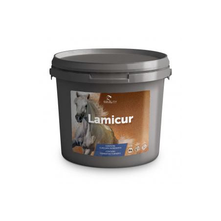 LAMICUR 2KG, shop Online