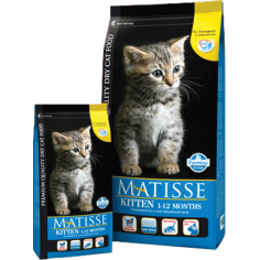 FARMINA MATISSE KITTEN 1.