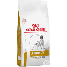 ROYAL CANIN urinary S/O 13 KG, shop Online