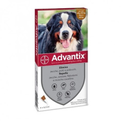 Advantix brown 40/60 kg (6 pipettes) Antiparasitic for dogs