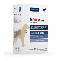 DILSH CANE MEDIUM BUSTINE 20x10GR Miglior Prezzo