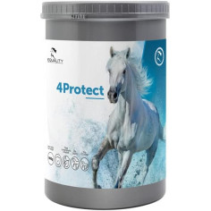 4PROTECT 900GR, shop Online