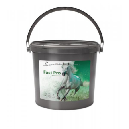 FASTPRO 2KG, shop Online