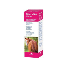 CURRANT HORSE ULTRA SHAMPOO 1LT, shop Online