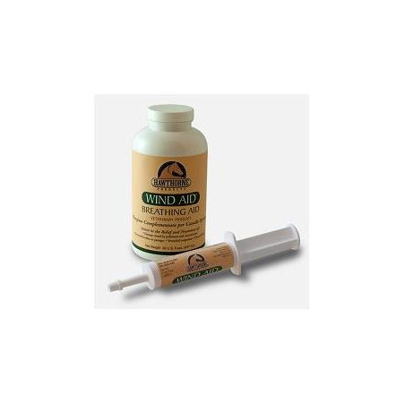 WIND AID SCIROPPO 947ML Miglior Prezzo