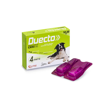 DUECTO DA 10 A 20 KG (4PIP) Miglior Prezzo