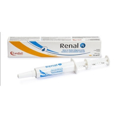 RENAL N PASTE AND SYRINGE 15 ML, shop Online