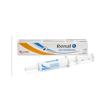 RENAL N PASTA E SIRINGA 15 ML Miglior Prezzo