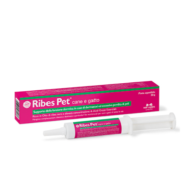 PET CURRANT PASTE 30GR, shop Online