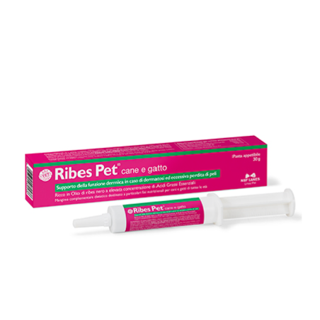 PET CURRANT PASTE 30GR, shop Online
