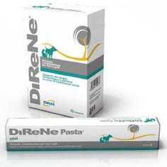 PASTE 15ML, shop Online