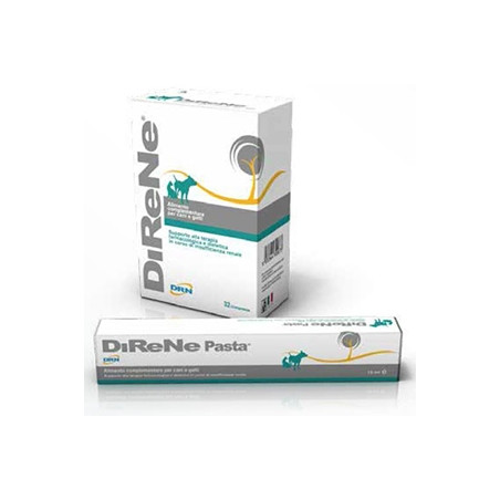 PASTE 15ML, shop Online