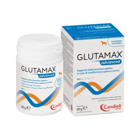 GLUTAMAX ADVANCED, shop Online