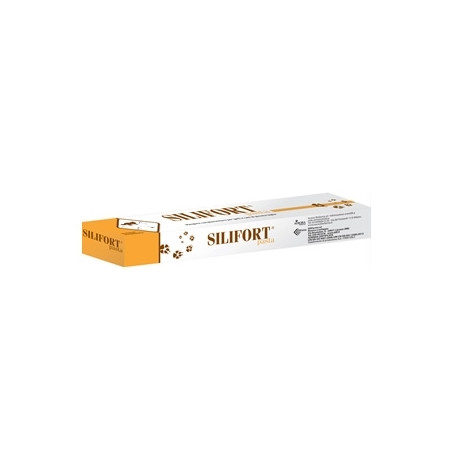 SILIFORT PASTE 15GR, shop Online