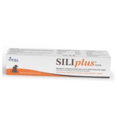 SILIPLUS PASTE 30GR, shop Online