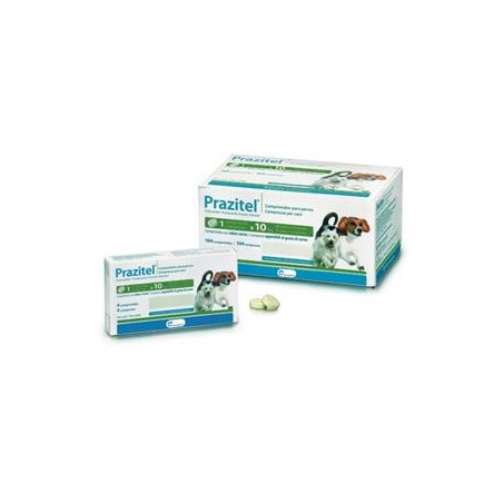 PRAZITEL DOG 104 CPR, shop Online