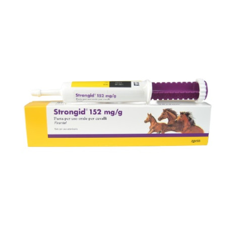 STRONGID SYRINGE PASTE, shop Online