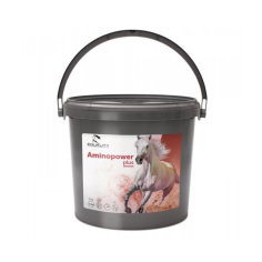 AMINOPOWER PLUS 1.