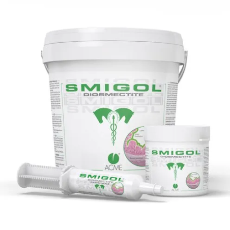 SMIGOL PASTA 100GR Miglior Prezzo