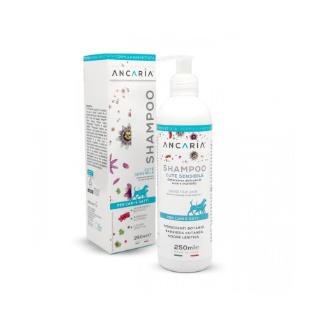 ANCARIA SHAMPOO 250ML, shop Online