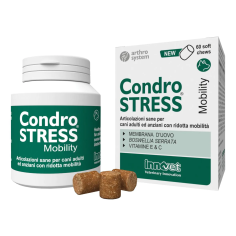CONDROSTRESS MOBILITY 60 CPR, shop Online