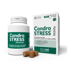 CONDROSTRESS MOBILITY 90 CPR Miglior Prezzo