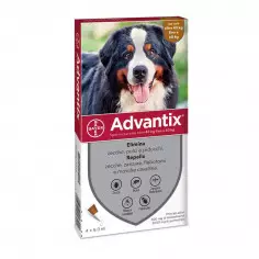 Advantix marrone 40/60 kg (4 pipette) Antiparassitario per cani