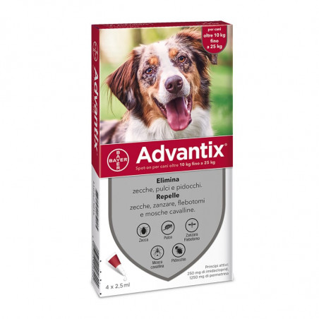 Advantix red 10/25 kg (4 pipettes) Antiparasitic for dogs, shop
