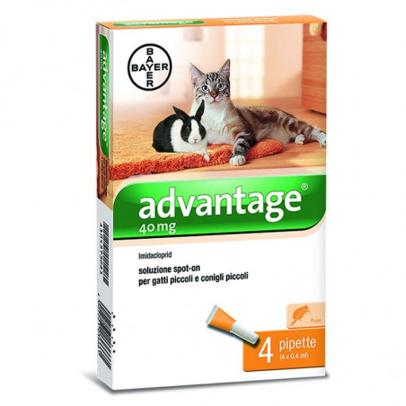 Advantage 40 (4 pipettes) Antiparasitic for cats and rabbits